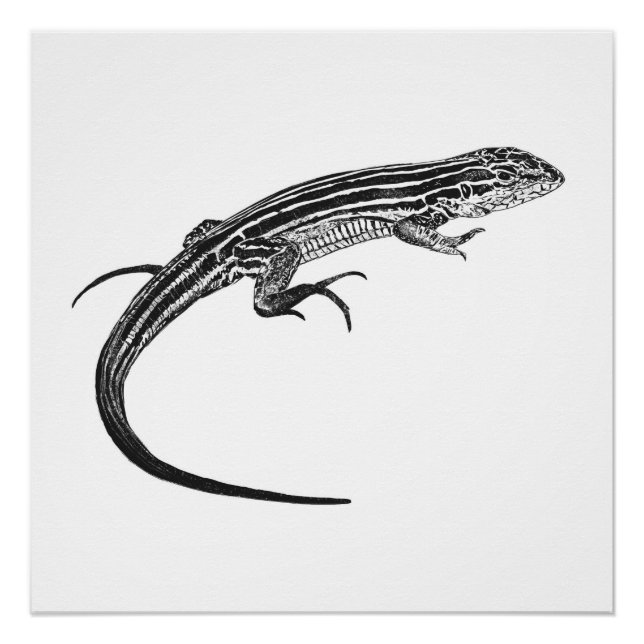 Póster Lizard Monochrome Print (Frente)