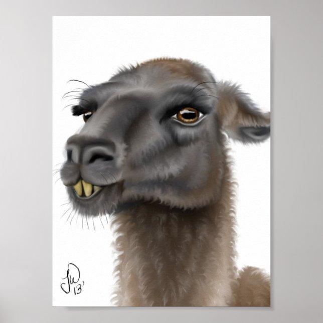 Póster Llama (Frente)
