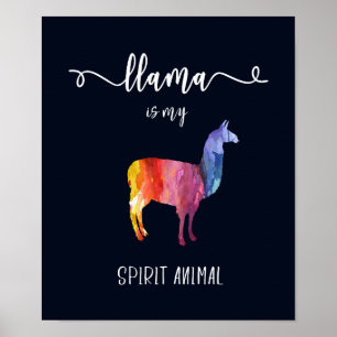 Poster Llama é o meu animal espiritual. Cor da Água Cuja