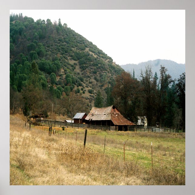 Poster Llama Ranch...... (Frente)