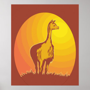 Poster Llama Retro Pôr do Sol 