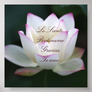 Póster Lo Siento, Perdoname, Gracias, Te Amo