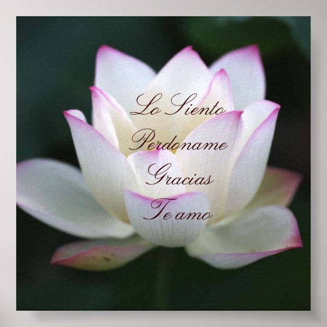 Póster Lo Siento, Perdoname, Gracias, Te Amo (Frente)
