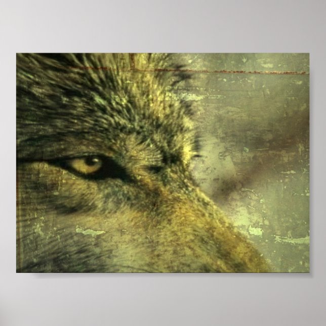 Póster Lobo (Frente)