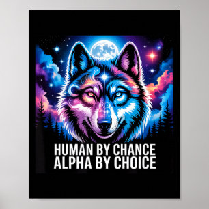 Poster Lobo alfa humano por acaso alfa por escolha