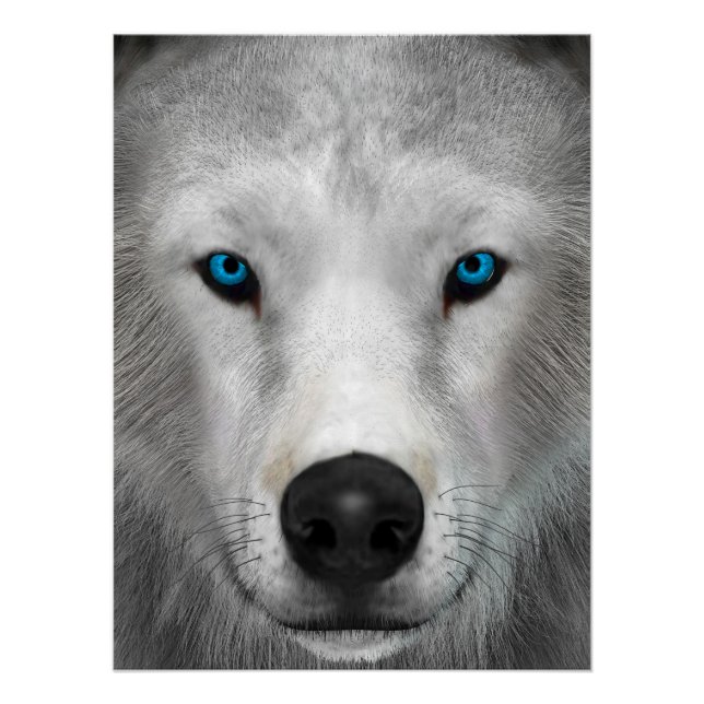 Póster Lobo Ártico (Frente)