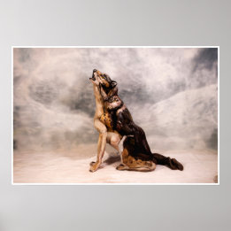 Poster Lobo Bodypainting ilusão