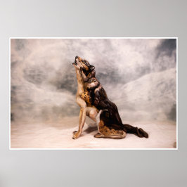 Poster Lobo Bodypainting ilusão