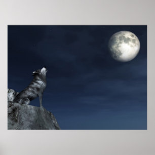 Poster Lobo Chorando