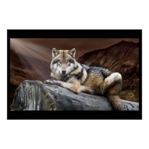 Póster Lobo Contemplativo