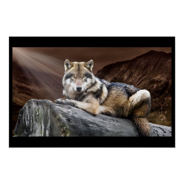Póster Lobo Contemplativo (Frente)