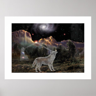 Poster Lobo da estrela