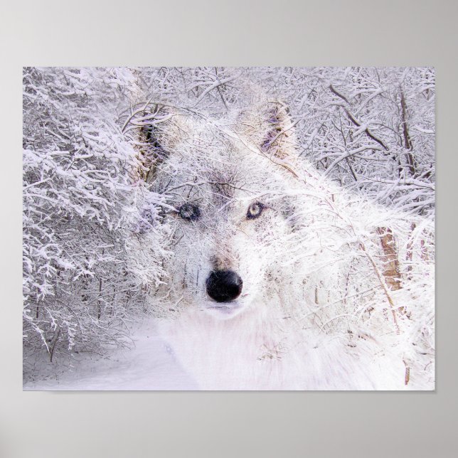 Poster Lobo-de-inverno (Frente)