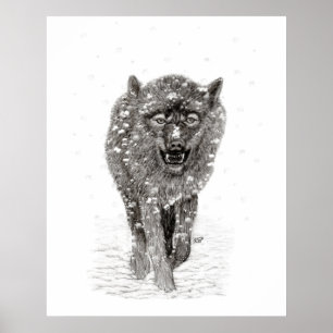 Poster Lobo Negro Zangado na Neve, inverno selvagem
