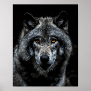 Poster Lobo Olhos Laranjas Animal Selvagem Natureza