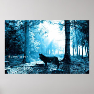 Poster Lobo preto apenas na floresta