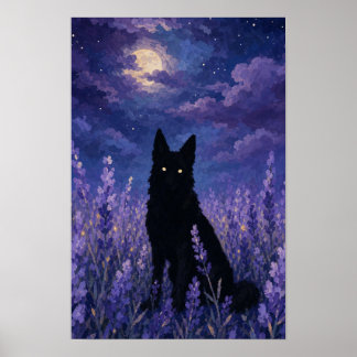 Poster 	 Lobo Preto em Campo de Lavanda