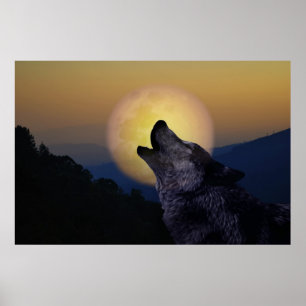 Poster Lobo que urra na lua