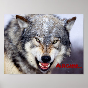 Poster lobo zangado