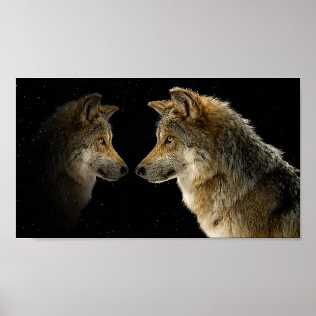 Póster Lobos (Frente)