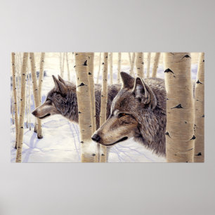 Poster Lobos cinzentos na pintura da neve -