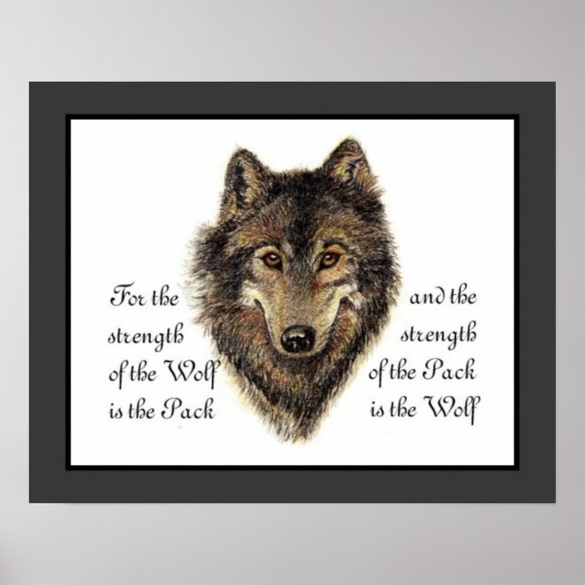 Póster Lobos, Cota de Lobo e Pacote de Aquarelas, Naturez (Frente)