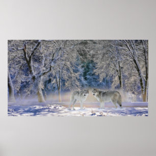 Póster Lobos De Yellowstone