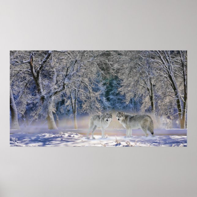 Póster Lobos De Yellowstone (Frente)