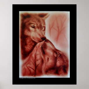 Póster Lobos do Alasca da neve