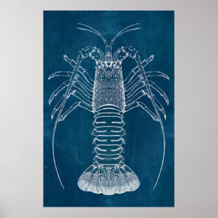 Póster Lobster Blueprint