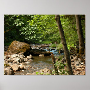 Póster Local de Ocultação