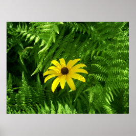 Póster Local pacífico