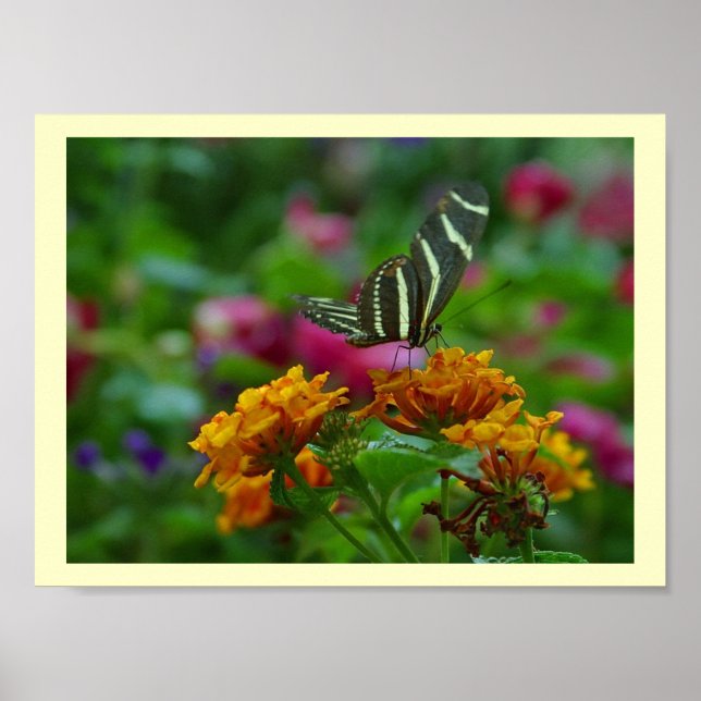 Póster Local Perfeito! Pôster (Frente)