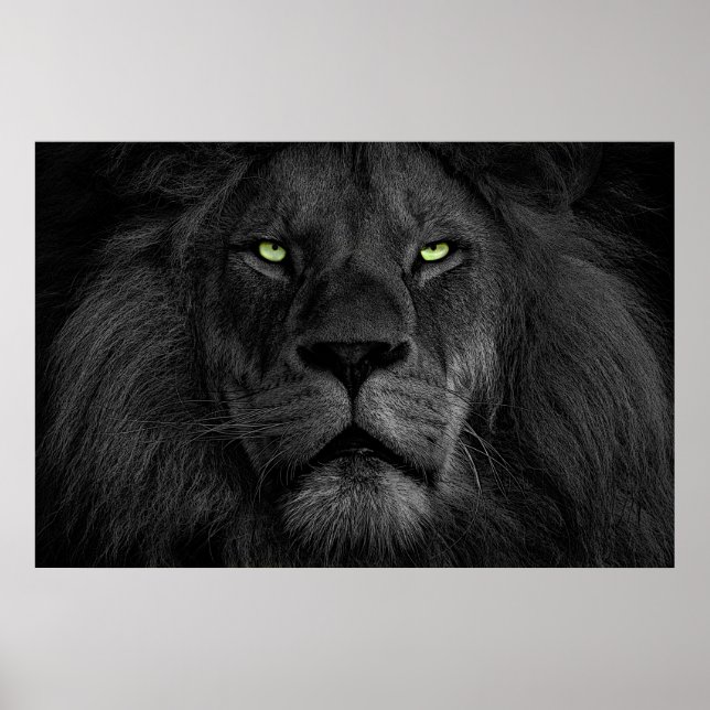 Poster L'oeil du lion (Frente)