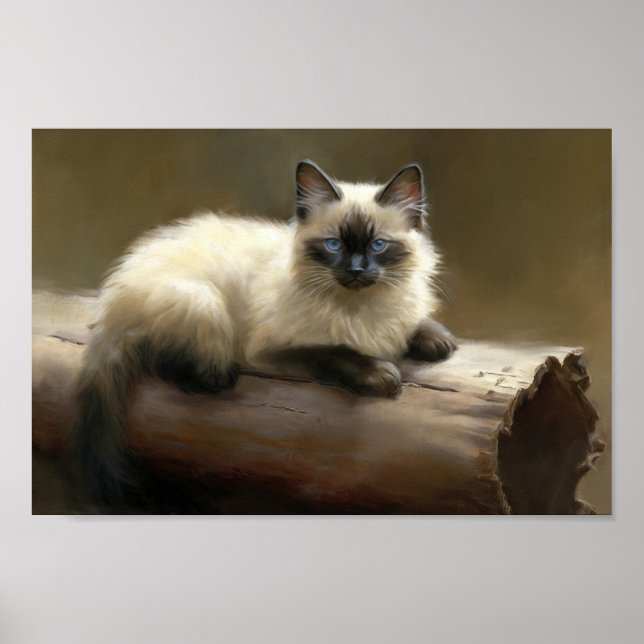 Poster Log Lounger Siamese Kitten (Frente)