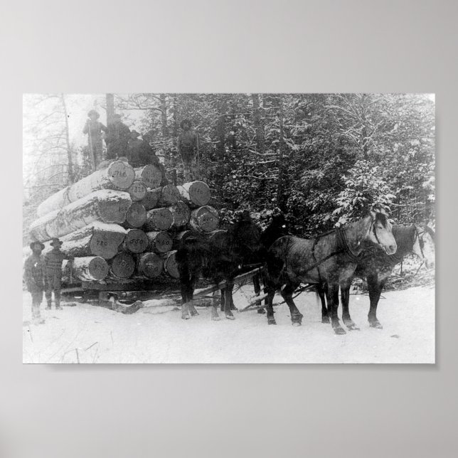 Póster Log sled (Frente)