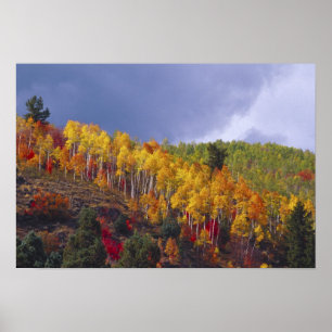 Poster Logan Canyon em Utah no outono com tempestade pass