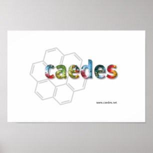Póster logotipo de Caedes.net