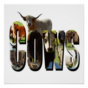 Póster Logotipo De Vacas Com Vacas,