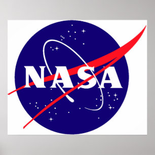 Póster Logotipo do Meatball da NASA