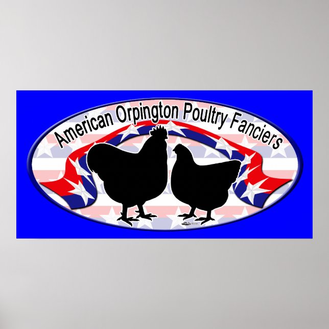 Póster Logotipo do Orpington Club (Frente)