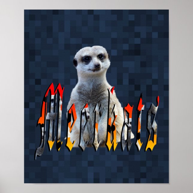 Poster Logotipo Meerkat (Frente)