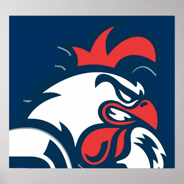 Poster logotipo roosters (Frente)