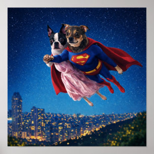 Poster "Lois & Kal"