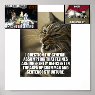 Póster lol-catz-greve-para trás,