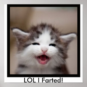 Póster LOL eu Farted!