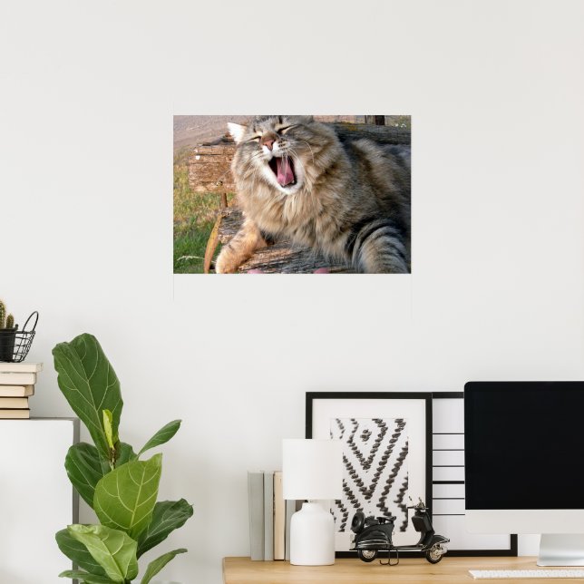 Poster LOL Maine Coon (Escritório em casa)