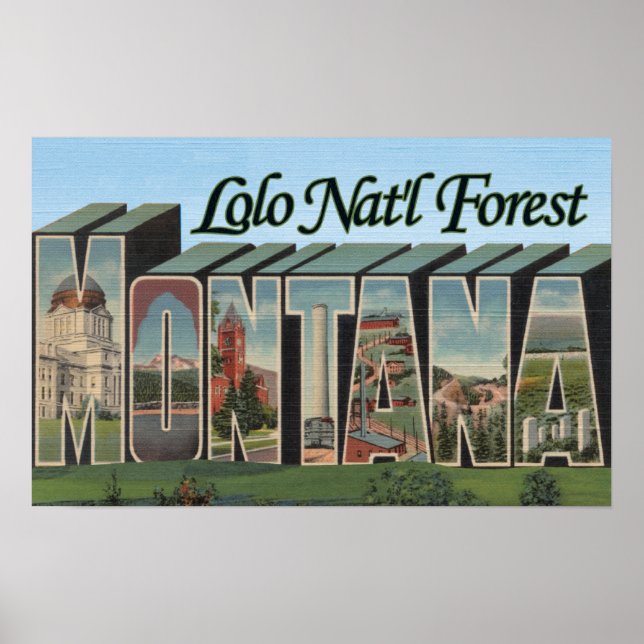 Póster Lolo Nat'l Forest, Montana (Frente)