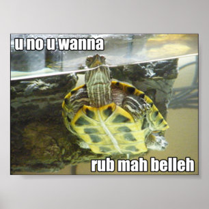 Poster LOLturtle - belleh do mah da RUB