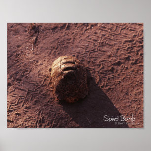 Poster Lombada